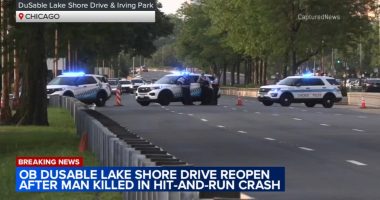 Man killed in hit-and-run crash on DuSable Lake Shore Drive near Lakeview, Chicago police say