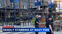 Man killed in stabbing at Navy Pier, suspect seriously wounded, Chicago police say