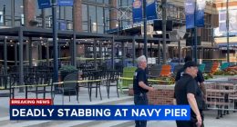 Man killed in stabbing at Navy Pier, suspect seriously wounded, Chicago police say
