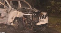 A car was found on fire on Kindlebark Close in Claremont Meadows on Friday night (pictured) NSW Police will probe if it is linked to the shooting in Penrith
