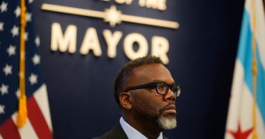 Mayor Brandon 'Bear of Little Brain' Johnson Is Having a 'Come at Me Bro' Meltdown