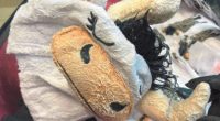 Meth-covered cow onesie smuggler who had drugs caked onto clothes in luggage for international flight admits guilt