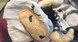 Meth-covered cow onesie smuggler who had drugs caked onto clothes in luggage for international flight admits guilt