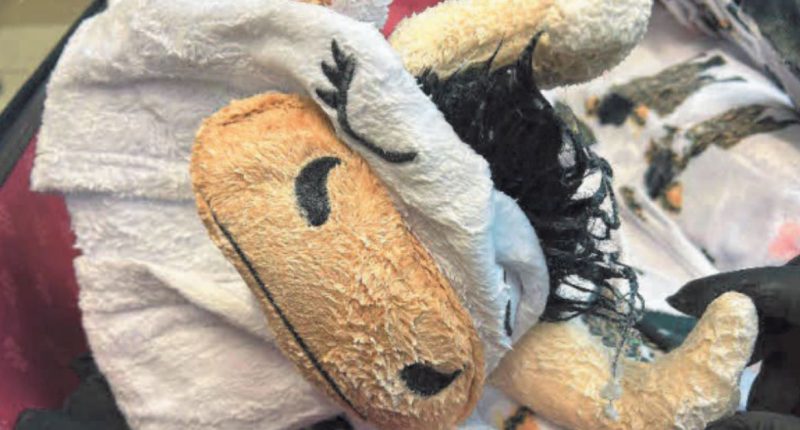 Meth-covered cow onesie smuggler who had drugs caked onto clothes in luggage for international flight admits guilt