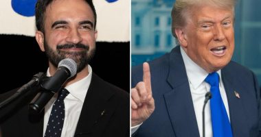 Michael Goodwin: Mamdani’s mayoral primary victory sealed a headache for Dems – and proved they can’t win no matter what