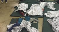 Minnesota Democrats, Including Tim Walz, Cutting Illegal Immigrants Out of Medical Assistance