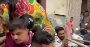 This is the horrifying moment a panicked elephant tramples a terrified crowd of festival-goers  in India