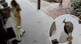 Mother and son narrowly survive run-in with killer bird species with nightmare claw that rivals Freddy Krueger’s