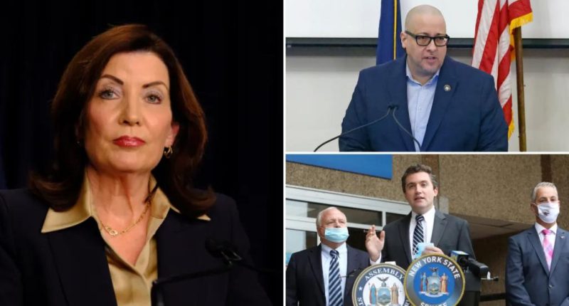 NY pols probe troubled  $9B taxpayer-funded program for health aides: ‘Significant concerns’
