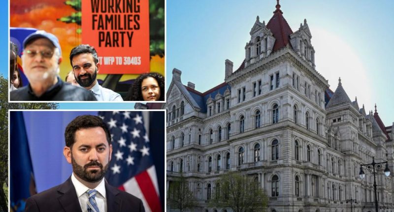 NYS rushes bill to give state party bosses power to kick out members as rivals rail ‘when Democrats can’t compete, they cheat’