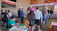 New Costco hire describes ‘zoo animal’ experience working at food court