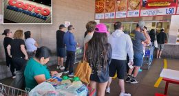 New Costco hire describes ‘zoo animal’ experience working at food court