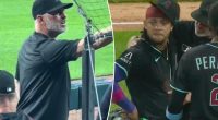 New video shows Diamondbacks manager confronting Ketel Marte heckler