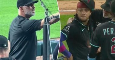 New video shows Diamondbacks manager confronting Ketel Marte heckler