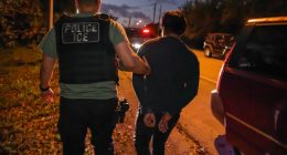 Nobody Is Above the Law™, Except...