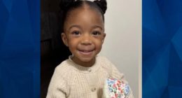Nola Dinkins: Police Find Child’s Remains Following Delaware Mother’s False Abduction Report