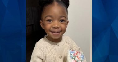 Nola Dinkins: Police Find Child’s Remains Following Delaware Mother’s False Abduction Report