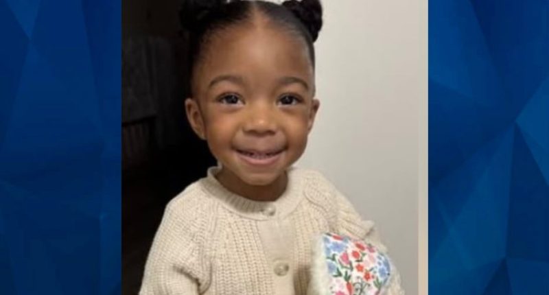Nola Dinkins: Police Find Child’s Remains Following Delaware Mother’s False Abduction Report