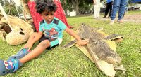 One for the History Books: Inaugural Bunnell History Day Explores Past of “The Crossroads of Flagler County”