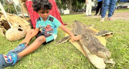 One for the History Books: Inaugural Bunnell History Day Explores Past of “The Crossroads of Flagler County”