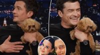 Orlando Bloom brings ‘emotional support’ dog to ‘Tonight Show’ amid Katy Perry relationship woes