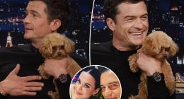 Orlando Bloom brings ‘emotional support’ dog to ‘Tonight Show’ amid Katy Perry relationship woes
