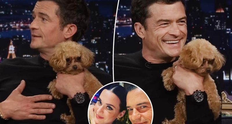 Orlando Bloom brings ‘emotional support’ dog to ‘Tonight Show’ amid Katy Perry relationship woes
