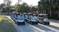 Golf carts at the Palm Harbor Golf Club. (© FlaglerLive)