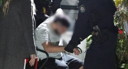 Adam Abdul-Hamid, 19, was arrested at a home in Heckenberg, in Sydney 's south-west, for his alleged involvement in the horrific sexual assault of a 17-year-old girl in December last year