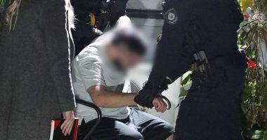 Adam Abdul-Hamid, 19, was arrested at a home in Heckenberg, in Sydney 's south-west, for his alleged involvement in the horrific sexual assault of a 17-year-old girl in December last year