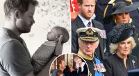 Prince Harry and Meghan Markle feared King Charles delayed their children’s passports over royal titles: report