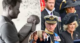Prince Harry and Meghan Markle feared King Charles delayed their children’s passports over royal titles: report