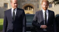 Prince William Takes Subtle Dig at Prince Harry With Family Comment During Appearance