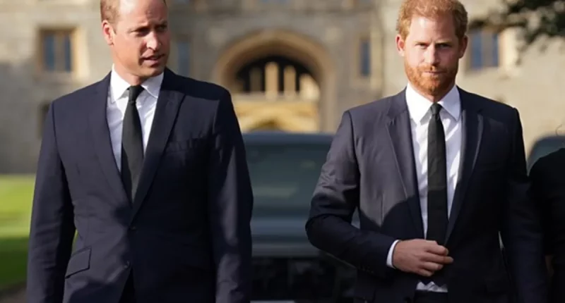 Prince William Takes Subtle Dig at Prince Harry With Family Comment During Appearance
