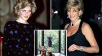 Princess Diana’s bold request was the one thing her designer refused: ‘You are a princess’