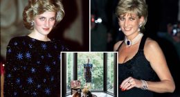 Princess Diana’s bold request was the one thing her designer refused: ‘You are a princess’
