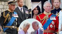 Queen Camilla ‘stays out’ of King Charles’ ongoing rift with Prince Harry