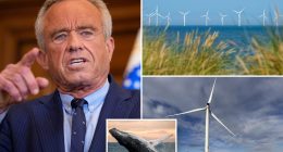 RFK Jr. blasts offshore windmill farms for harming marine life as he tries to save whales and ostriches: ‘Make no economic sense’