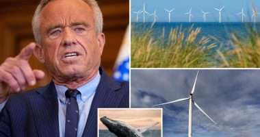 RFK Jr. blasts offshore windmill farms for harming marine life as he tries to save whales and ostriches: ‘Make no economic sense’