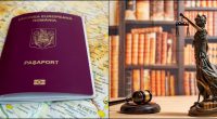 Romanian passport
