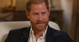 Royal author suggests Prince Harry's upbringing is to blame for his inability to 'take responsibility for his own actions'