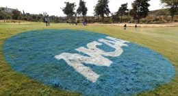 Schools can now directly pay college athletes after landmark $2.8 billion settlement