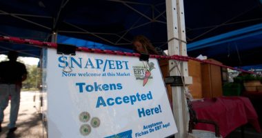 t a farm market in St. Petersburg, Florida, SNAP recipients were able to use their Electronic Benefits Transfer cards for food. (Photo by Lance Cheung/USDA).