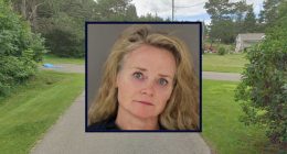 Shoeless grandma who left infant in roadside ditch on rainy day, ran away, then told cops she was ‘looking for a child’ after day drinking learns her fate