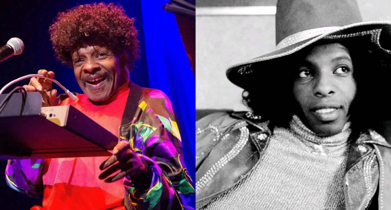 Sly Stone passes away