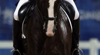 Aussie Olympian Heath Ryan insists he was on a 'rescue mission' after horrific footage emerged of the equestrian star whipping a horse more than 40 times (pictured, competing at the 2008 Games in Beijing)