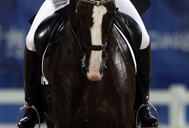 Aussie Olympian Heath Ryan insists he was on a 'rescue mission' after horrific footage emerged of the equestrian star whipping a horse more than 40 times (pictured, competing at the 2008 Games in Beijing)