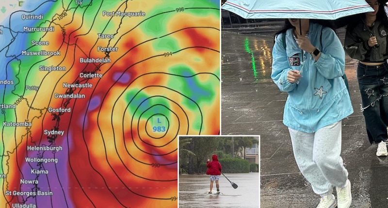 Sydney weather: Bomb cyclone hits NSW - what you need to know