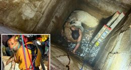 Teen trapped trying to rescue cherished dogs that fell down a California well saved by elite recuse team: fire officials