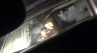 Pictured is the moment a female officer ducked for cover after a large stone was lobbed at the windshield of a parked police vehicle